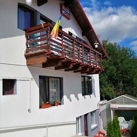 Vila Darian Villa Buşteni Esterno foto