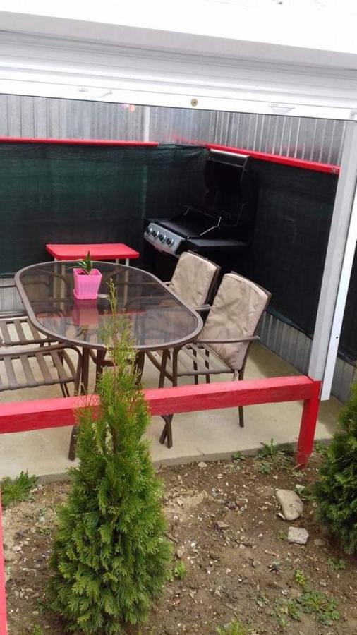 Vila Darian Villa Buşteni Esterno foto