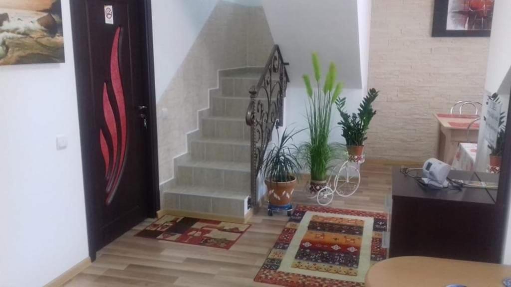 Vila Darian Villa Buşteni Esterno foto