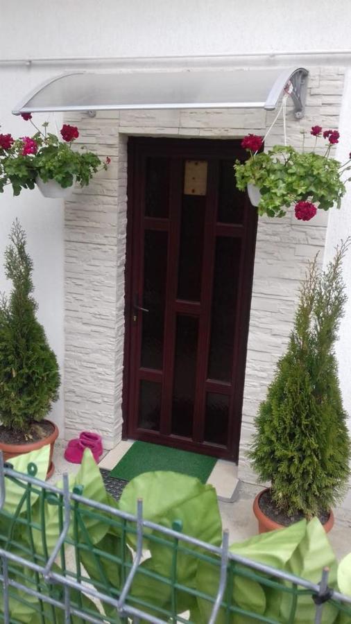 Vila Darian Villa Buşteni Esterno foto
