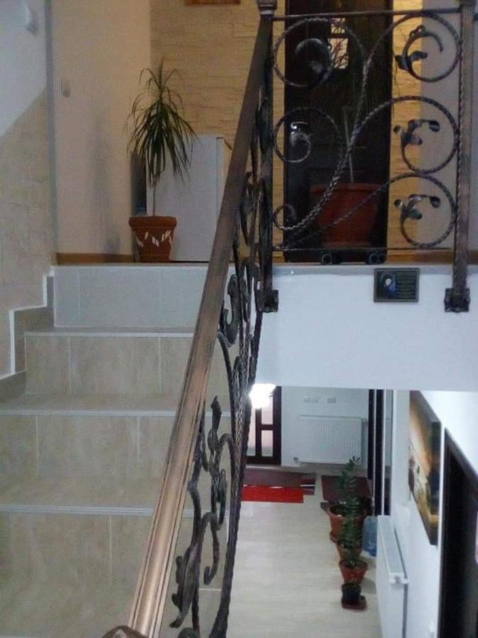 Vila Darian Villa Buşteni Esterno foto